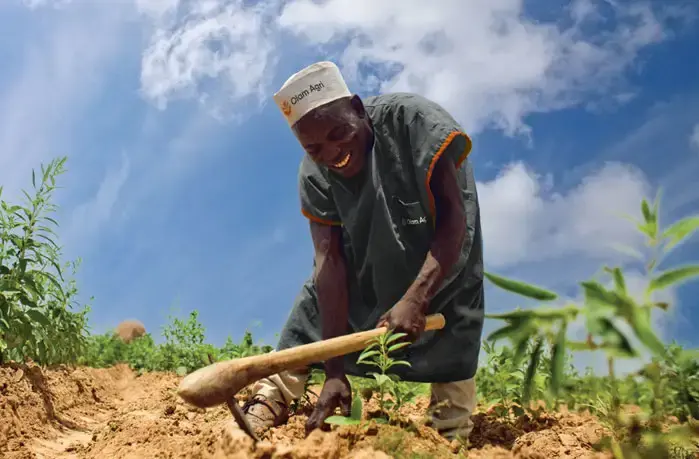 Human Rights &amp; Labour