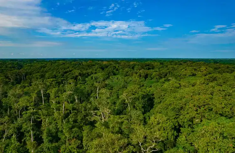 We’re Environmental Stewards