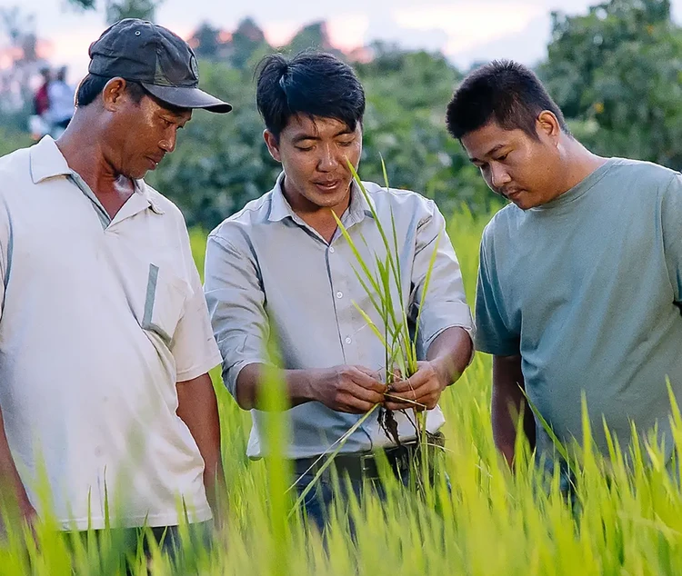 We Improve Livelihoods