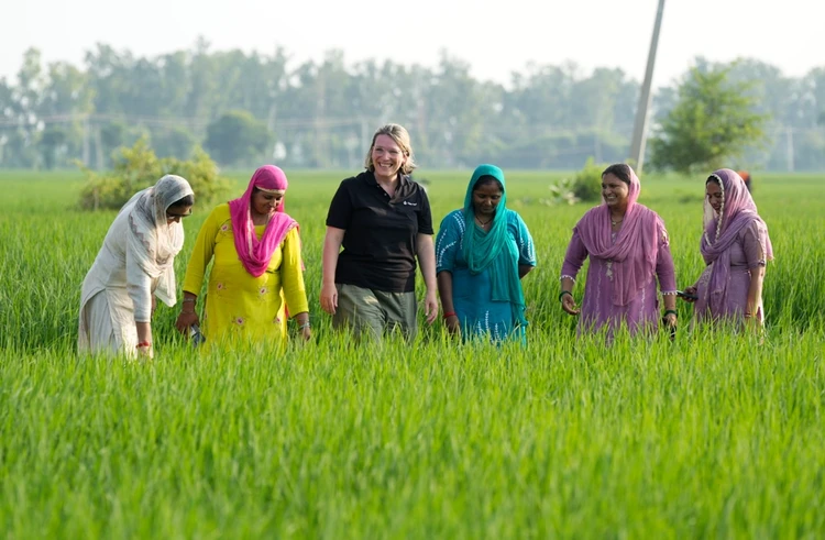 Corporate Responsibility and Sustainability (CR&amp;S)