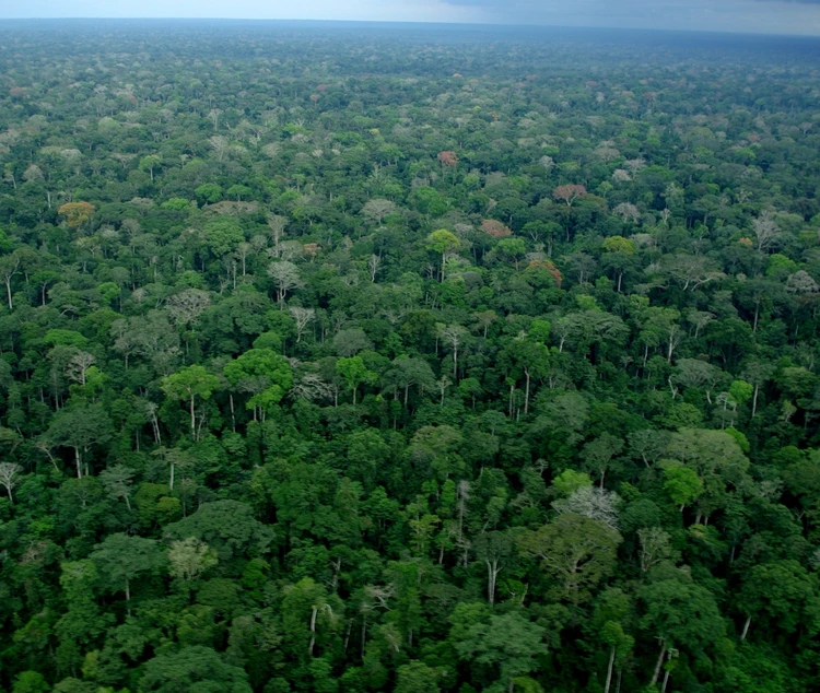 We’re Environmental Stewards