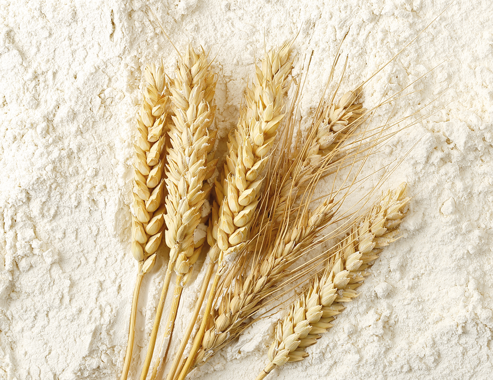 wheaf sheaves