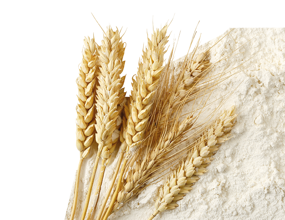 wheaf sheaves