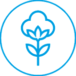 Cotton Icon
