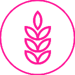 Specialty Grains Icon