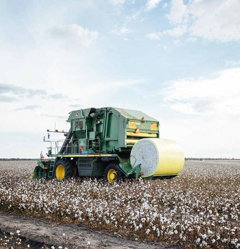 Cotton Harvesting