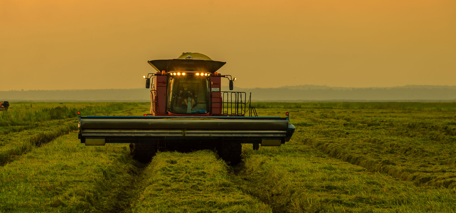 Importing & Distributing Rice