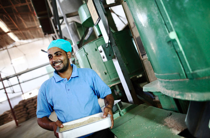 Person in a rice processing facility 