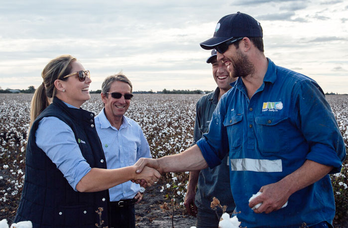 People shaking hands in a cotton field