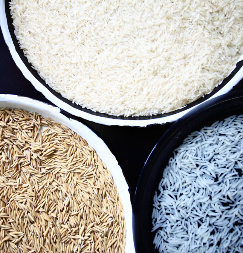 Rice in Vietnam
