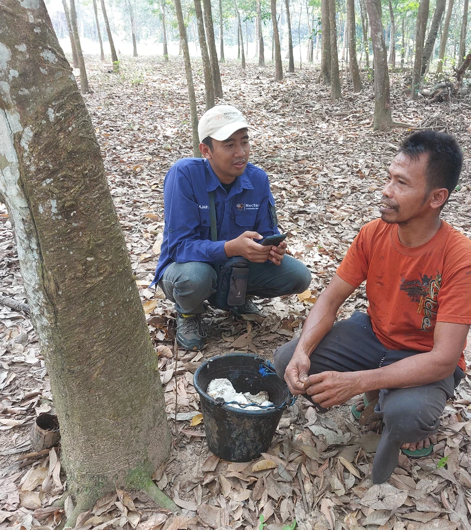 Partnering for Sustainable Rubber Future