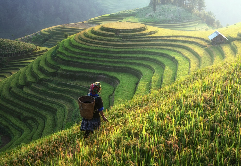 Farmer Image