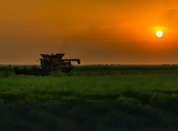 Rice Harvester
