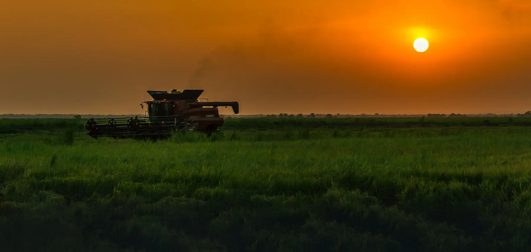 Rice Harvester