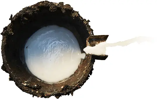 Product Carousel image