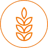 Specialty Grains Icon