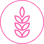 Specialty Grains & Seeds