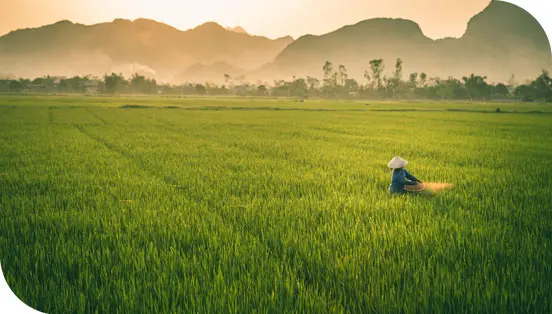 Sourcing Landscapes