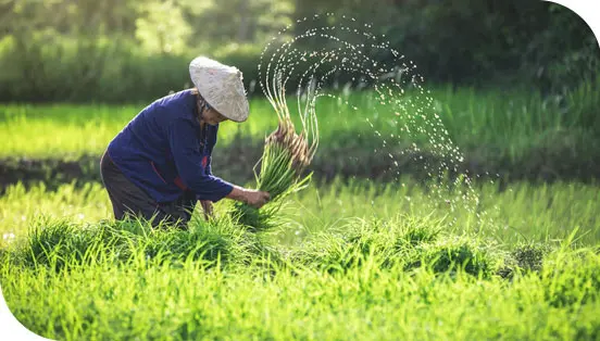 Farms & Communities