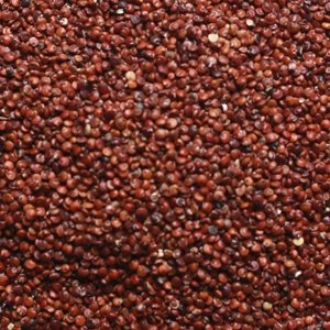 Red Quinoa