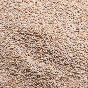 White Chia