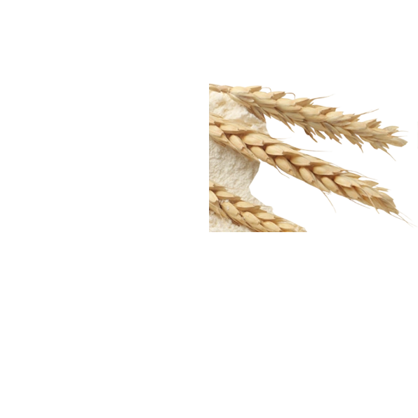 Wheat Milling & Pasta