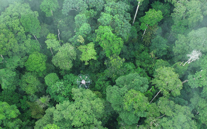 Building a Business that Conserves Forests, One Step At a Time