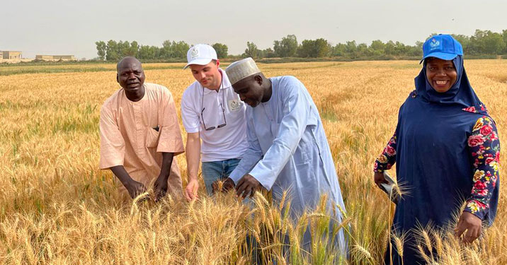 Reducing crop loss to improve food security