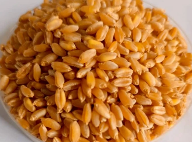 Wheat