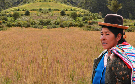 Olam Agri strengthens progress towards sustainable quinoa and chia, positively benefitting farming communities in Peru