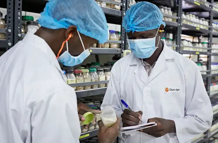 Research &amp; Development