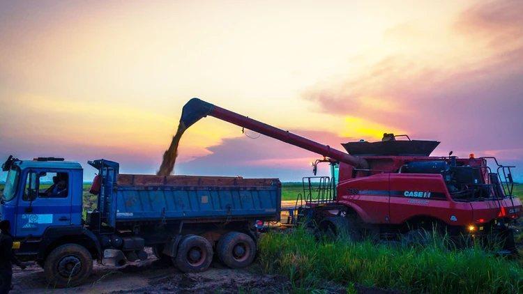 Pioneering Programmes