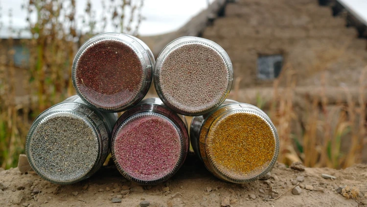 Processing &amp; Packaging