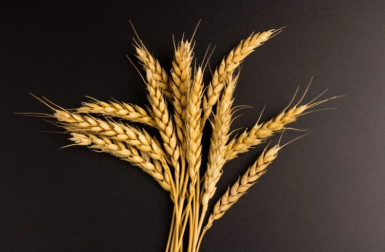 Nature &amp; Climate