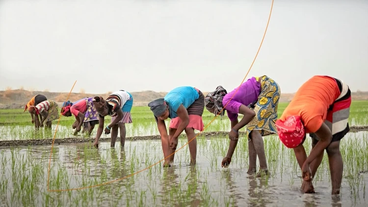 Tapping into bright minds to tackle agricultural challenges