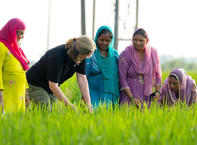 Nature-Based Solutions Reducing Emissions