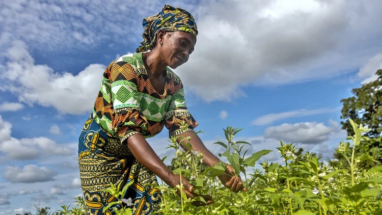 Advancing Climate-smart Farming for Africa’s Smallholder Farmers