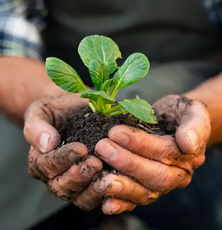 Building on Our Heritage