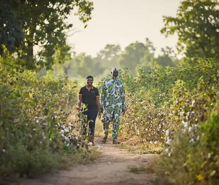 Supporting &amp; Improving Livelihoods