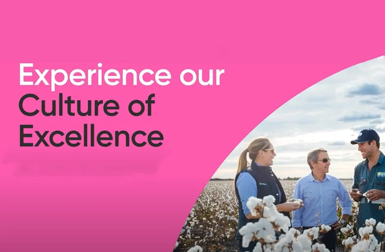 The Culture We Create