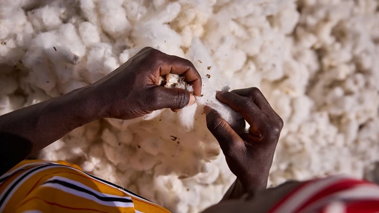 Partnering to restore soil health in Togo&#39;s cotton sector