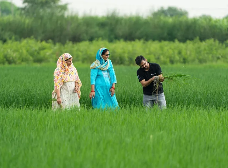 Building Climate resilient Rice Farming Across Asia