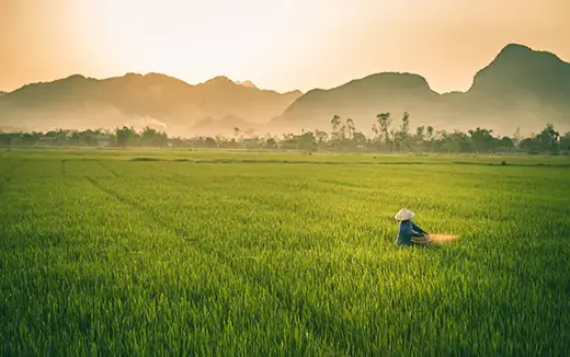 Climate &amp; Landscapes