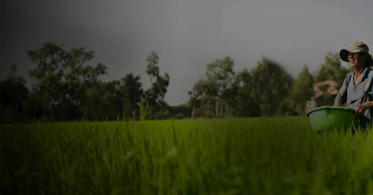 Sustainable Future