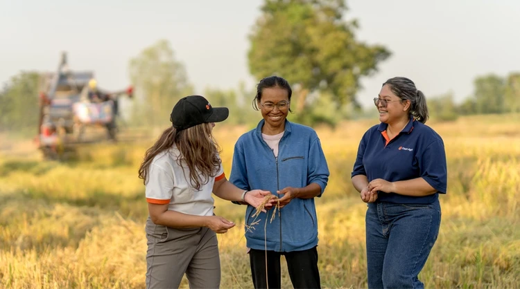 Womens in farm