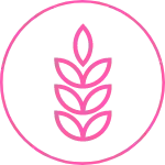 Specialty Grains &amp; Seeds