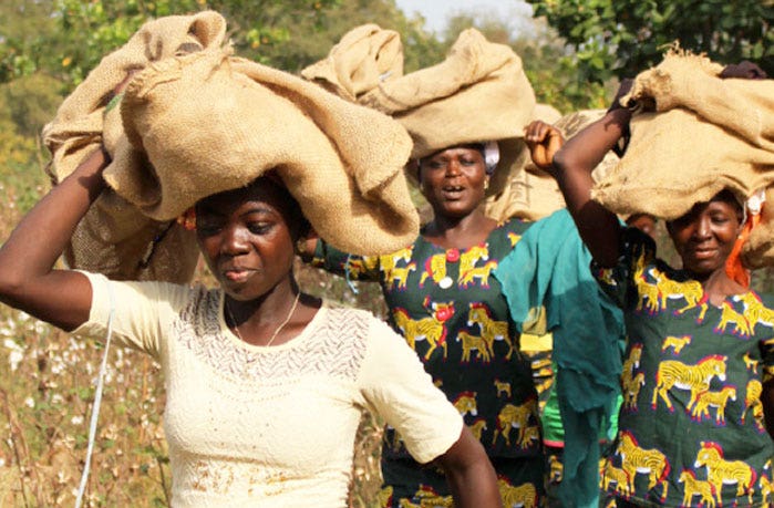 Women Farmers in Côte d&#39;Ivoire