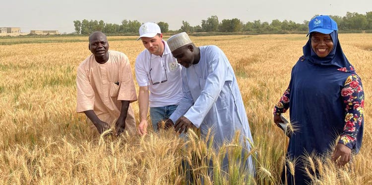 Baselining activities taking place at one of our farms in Africa