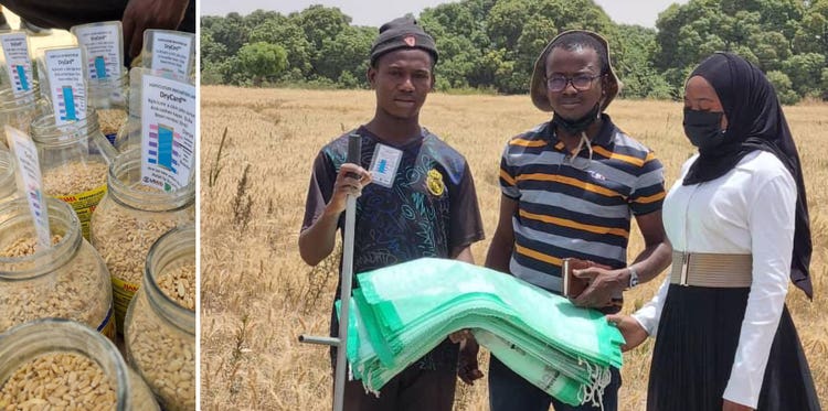 (Left) DryCards are used to help farmers determine when their produce has reached the optimal moisture content for storage. (Right) ZeroFly hermetic bags used to repel insects.