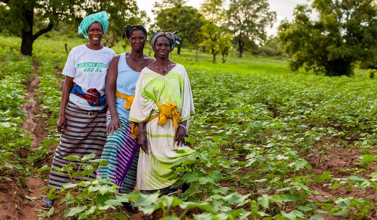 With their newfound literacy skills, women farmers have diversified their income sources